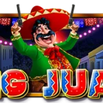 大胡安